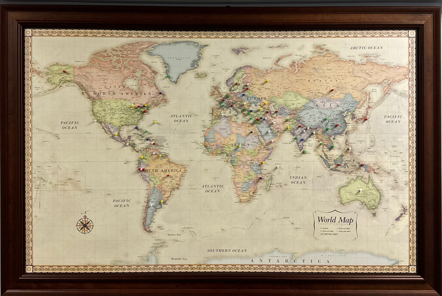 World map with pins designating where patients are from